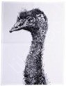 Digital Printed Kitchen Towel Stock Offer # 3242